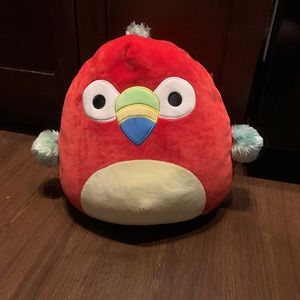 12” Paco the Parrot Squishmallow